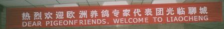 "Liebe Brieftaubenfreunde, willkommen in Liaocheng"
