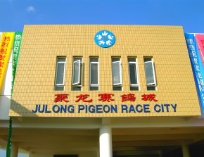 JULONG PIGEON RACE CITY